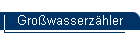 Growasserzhler